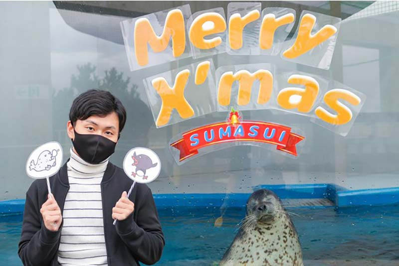 神戸市立須磨海浜水族園「スマスイクリスマス」 [画像]