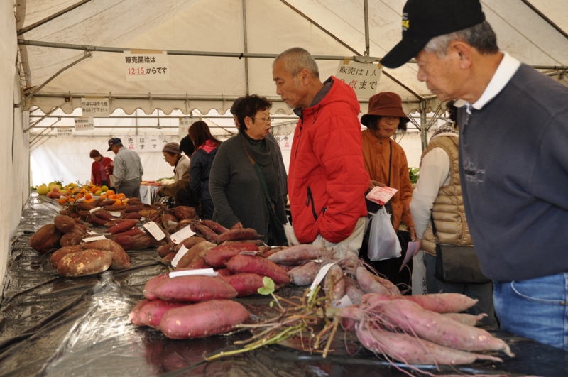 農林漁業祭で行われる農作物品評会