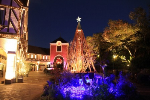 「古城のクリスマス2014」　神戸布引ハーブ園