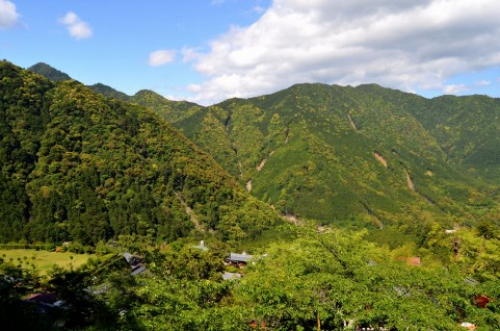 こども北摂里山探検隊「人と自然の博物館を探検しよう」参加者募集　三田市