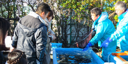 平磯海づり公園『正月用活魚直売会』など年末年始イベント　神戸市垂水区
