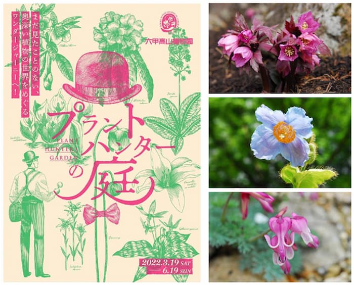 六甲高山植物園『プラントハンターの庭』初開催 　神戸市灘区 [画像]