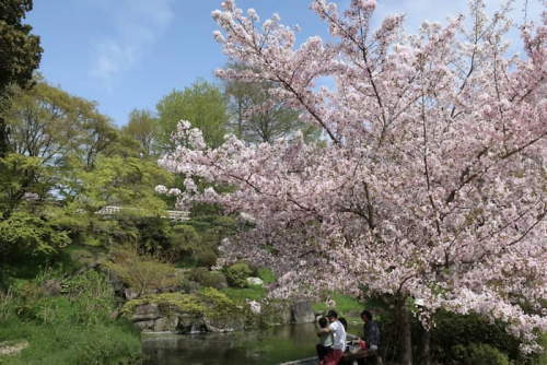 神戸市立須磨離宮公園『春のこども入園無料ウィーク』神戸市須磨区