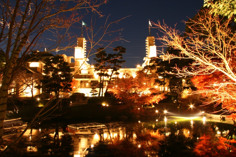 写真提供：武庫川女子大学