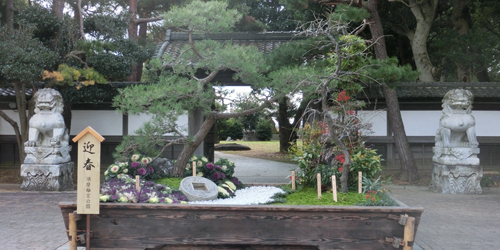 須磨離宮公園にジャンボ松竹梅が登場　神戸市須磨区