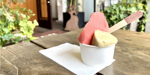 『CATERINA』アイスクリームと焼き菓子のお店　実食レポ　神戸市灘区