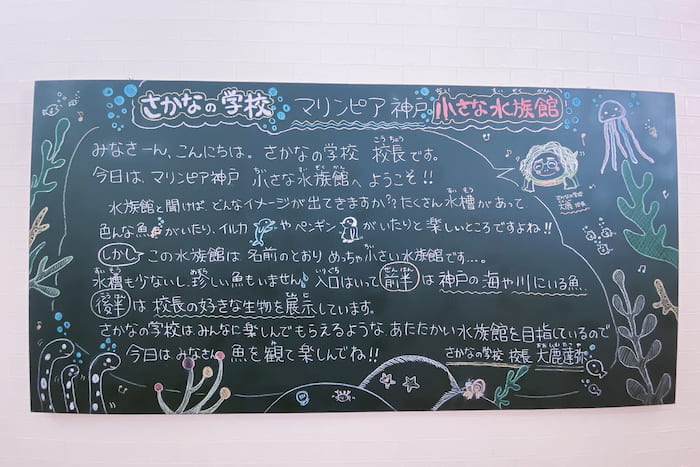 マリンピア神戸『さかなの学校』に行ってきました！神戸市垂水区 [画像]