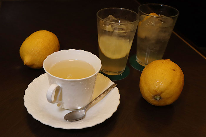 通常のレモンの1.5倍以上はある大きさも特徴の「道法レモン」