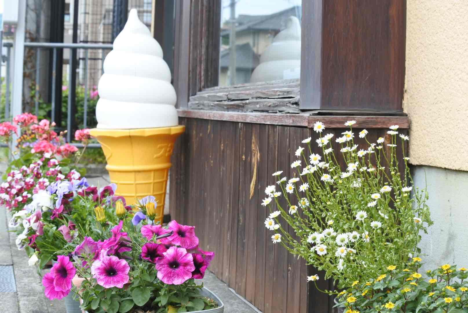 可愛い花とソフトクリーム