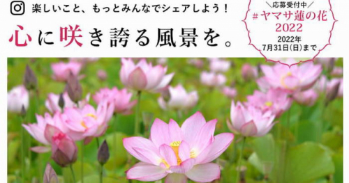 『ヤマサ蓮の花 インスタグラムフォトコンテスト2022』姫路市