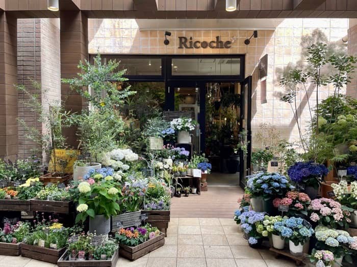 『花と緑と雑貨のお店 Ricoche+（リコシェ）』 訪問レポ　神戸市垂水区 [画像]