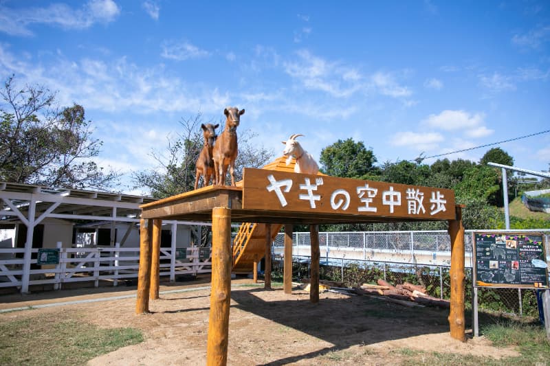 淡路島民は「のじま動物園」に無料で招待