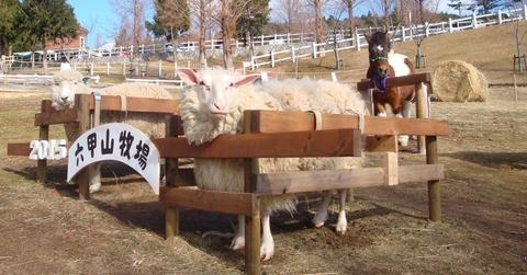 六甲山牧場で干支の引き継ぎ式開催　神戸市灘区 [画像]