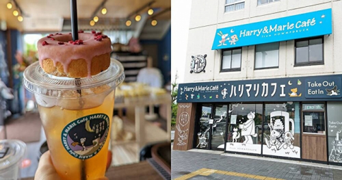 姫路城のすぐ近く『Harry & Marie Café（ハリマリカフェ）』オープン　姫路市