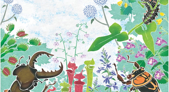六甲高山植物園 夏休みイベント「しょくぶつ と むし」神戸市灘区 [画像]