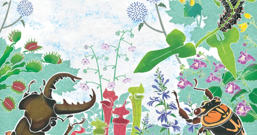 六甲高山植物園 夏休みイベント「しょくぶつ と むし」神戸市灘区