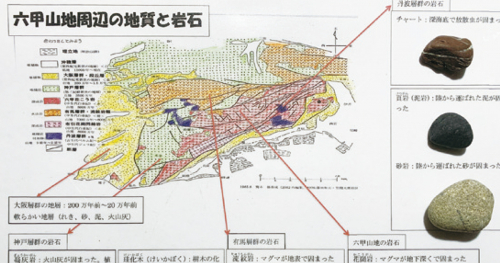 『神戸の化石と地層を観察し、岩石実物図鑑を作ろう！』 神戸市垂水区