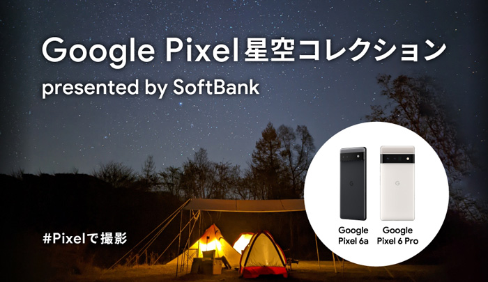 ニジゲンノモリ「Google Pixel 星空コレクション presented by SoftBank」淡路市 [画像]