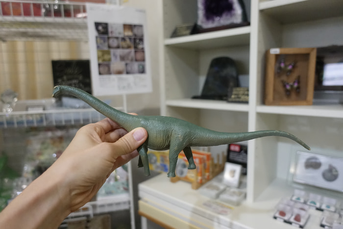 タンバティタニス（丹波竜）の恐竜模型。1,500円（税込）