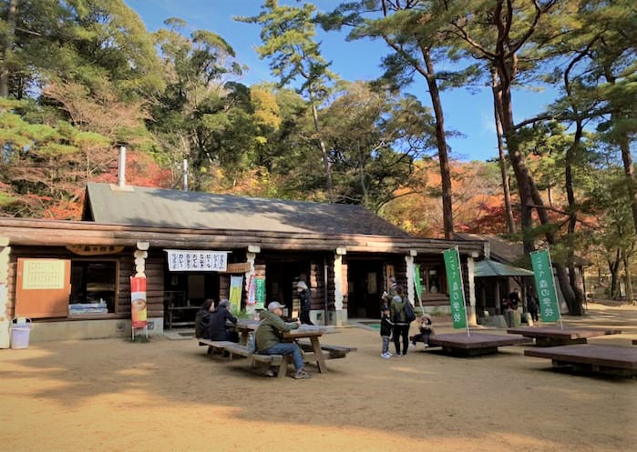 茶屋『森の四季』へ行ってきました　神戸市北区 [画像]