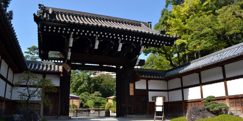 相楽園で「冬牡丹と無事すぎの路（みち）」　神戸市中央区