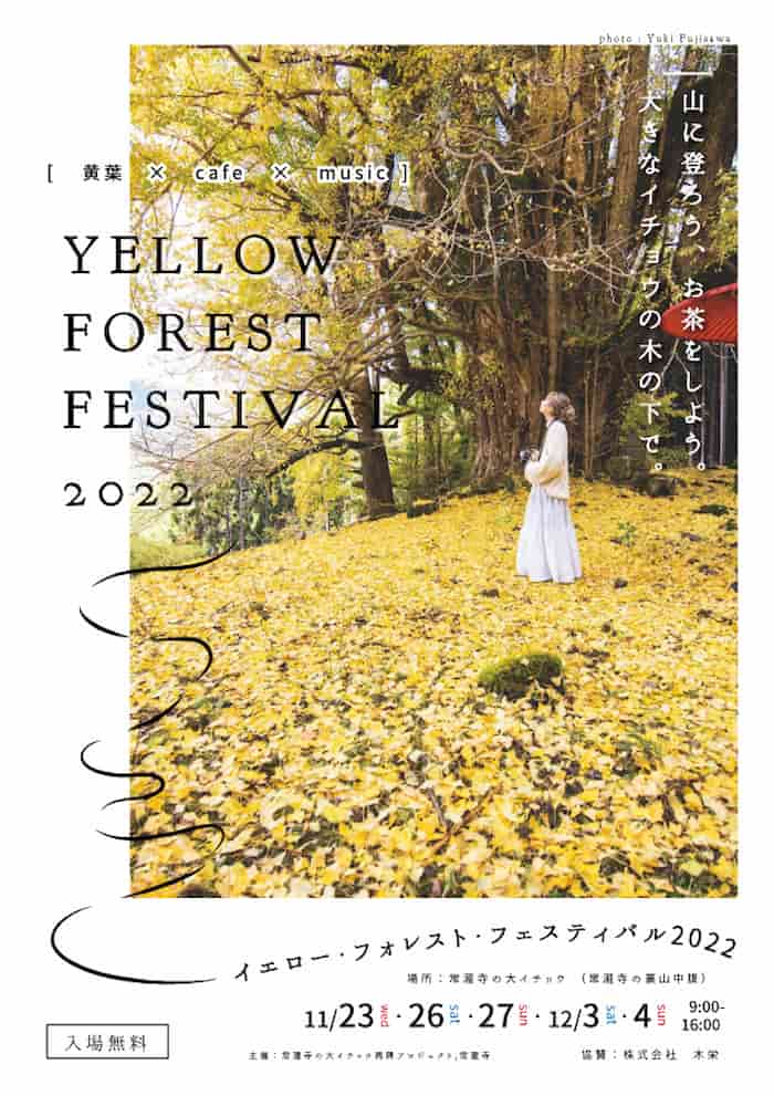 常瀧寺の大イチョウ「Yellow Forest Festival 2022」開催　丹波市 [画像]