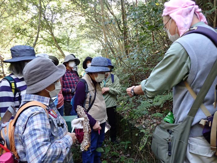 専門家の説明を聞きながら公園を回ります