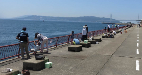 平磯海づり公園『親子海釣り教室・こども釣り大会』 神戸市垂水区