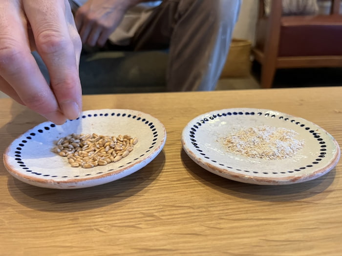 左は粉にする前の麦、右は全粒粉にしたもの