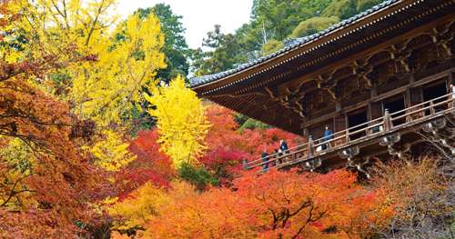書寫山圓教寺で11月中旬から紅葉が見ごろ。もみじまつりも開催　姫路市