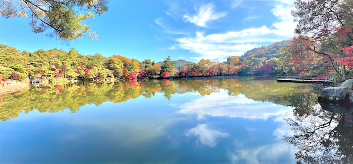 『再度公園（ふたたびこうえん）』11月中旬から紅葉が見ごろに　神戸市北区 [画像]