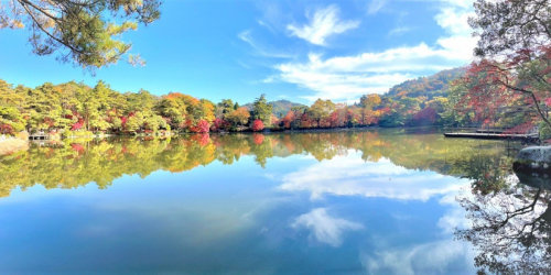 『再度公園（ふたたびこうえん）』11月中旬から紅葉が見ごろに　神戸市北区