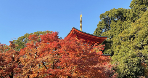 須磨寺　11月中旬から紅葉が見ごろ