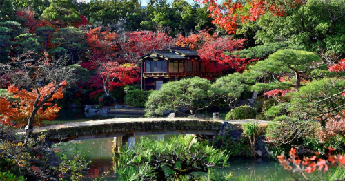 『相楽園』の紅葉　11月中旬頃から見ごろに　神戸市中央区