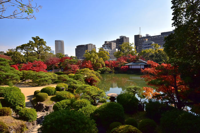 『相楽園』の紅葉　11月中旬頃から見ごろに　神戸市中央区 [画像]