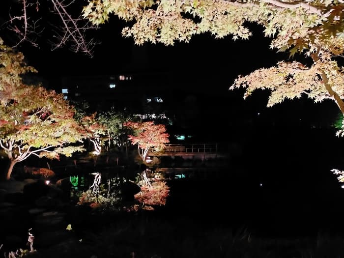 しあわせの村 日本庭園 紅葉のライトアップ 　神戸市北区 [画像]