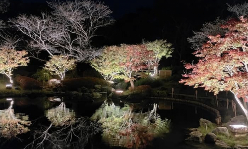 しあわせの村 日本庭園 紅葉のライトアップ 　神戸市北区