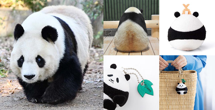 神戸市立王子動物園のパンダ・タンタンの「おにぎりパンダスクイーズマスコット」が新登場 [画像]