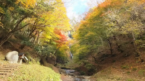猿尾滝『小さな紅葉まつり』香美町