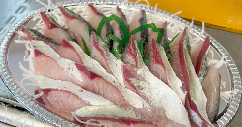 姫路まえどれ市場で新鮮な「ぼうぜ鯖」を堪能してきました