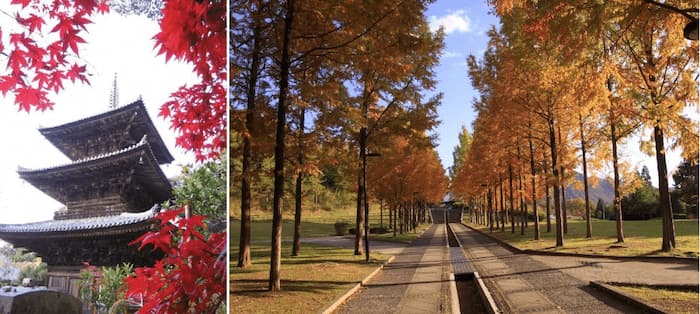 左：法華山一乗寺（加西市）、右：日本へそ公園（西脇市）