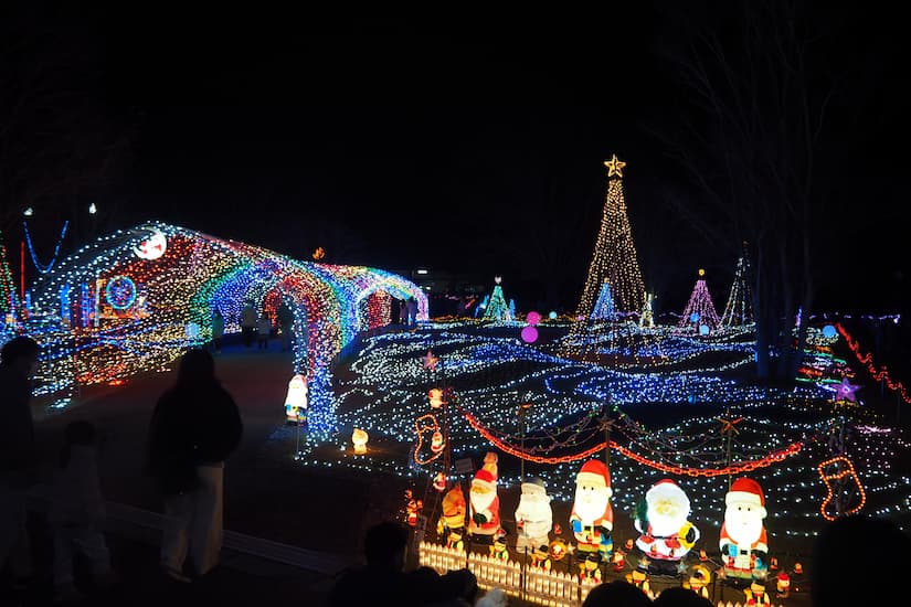 兵庫県立フラワーセンター「花と光のクリスマス」に行ってきました　加西市 [画像]