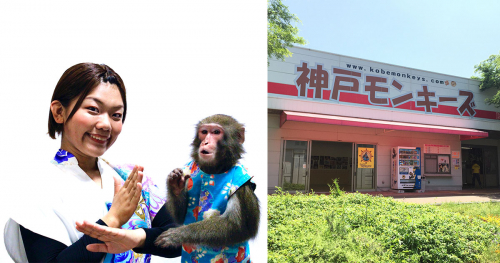 【延期日程決定】神戸モンキーズ劇場「手話を取り入れた猿まわしショー」特別公演　神戸市北区