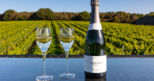 白鶴酒造　英国ワイナリー「BOLNEY」のスパークリングワイン6種を販売