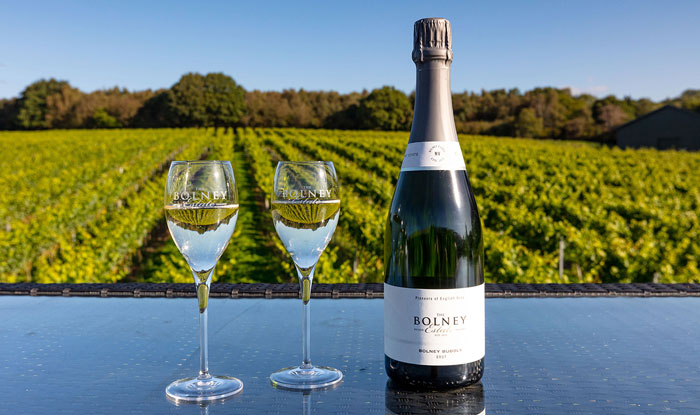白鶴酒造　英国ワイナリー「BOLNEY」のスパークリングワイン6種を販売 [画像]