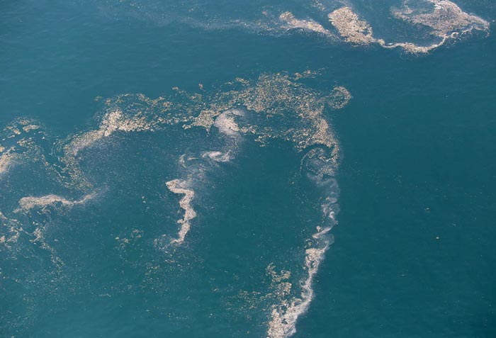 台風後の浮遊ゴミ　撮影：NPO法人　空から自然を考える会