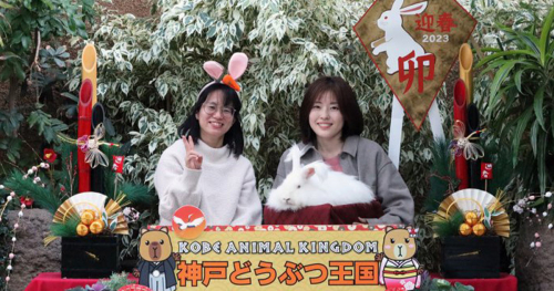 神戸どうぶつ王国「来年の干支・ウサギと一緒に年賀状写真を撮ろう！」神戸市中央区