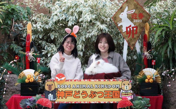 神戸どうぶつ王国「来年の干支・ウサギと一緒に年賀状写真を撮ろう！」神戸市中央区 [画像]