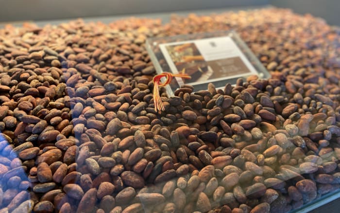 厳選されたカカオ豆から質の高いチョコレートが作られます