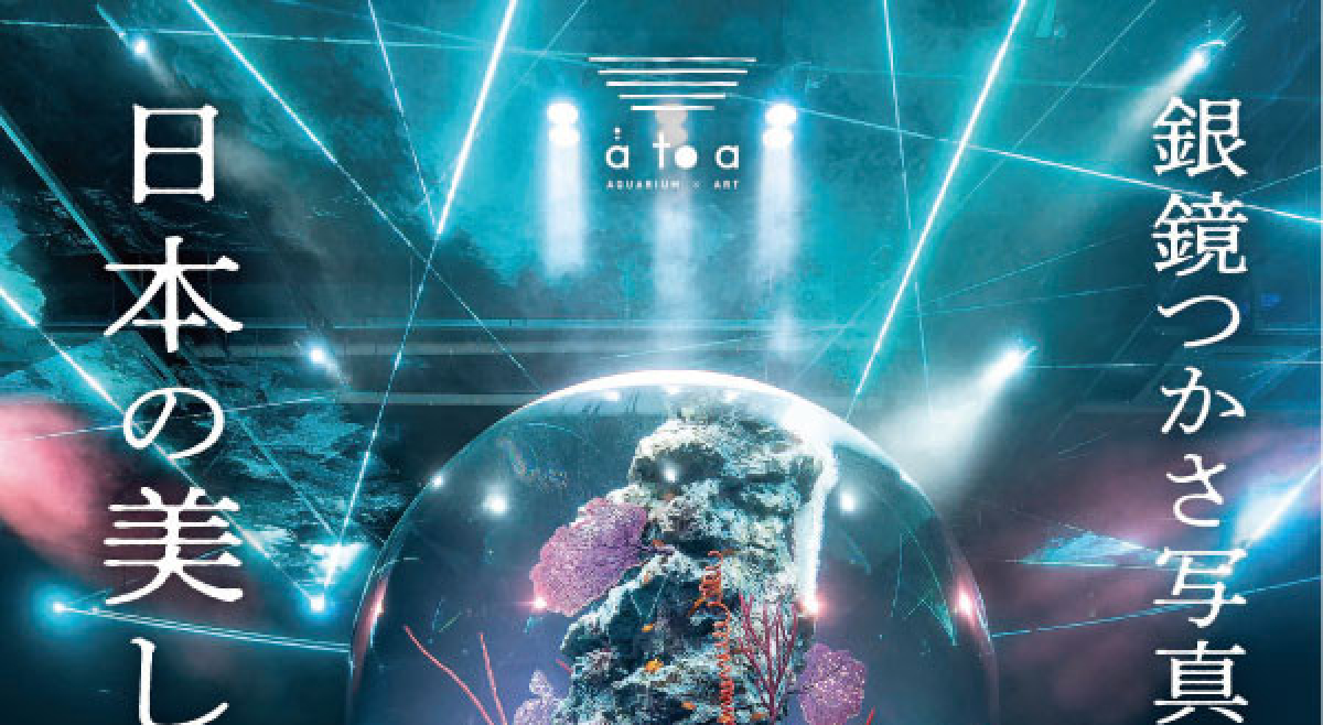 幻想的な水族館写真♪インフルエンサーが初の写真展を開催 劇場型アクアリウム átoa「銀鏡つかさ写真展 日本の美しい水族館」神戸市中央区 | Kiss  PRESS(キッスプレス)